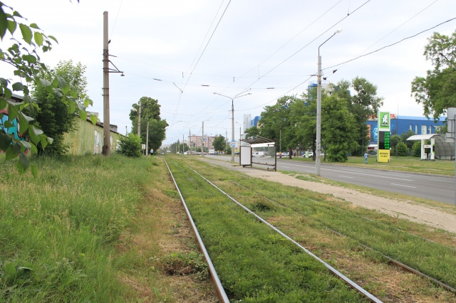 Сітілайт 1.2x1.8,  Академика Павлова ул., 71 (1) (остановка переулок Муромский), из центра