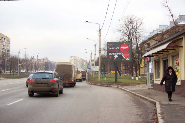 Скролл 3.1x2.2,  Полтавский шлях ул., 177, в центр